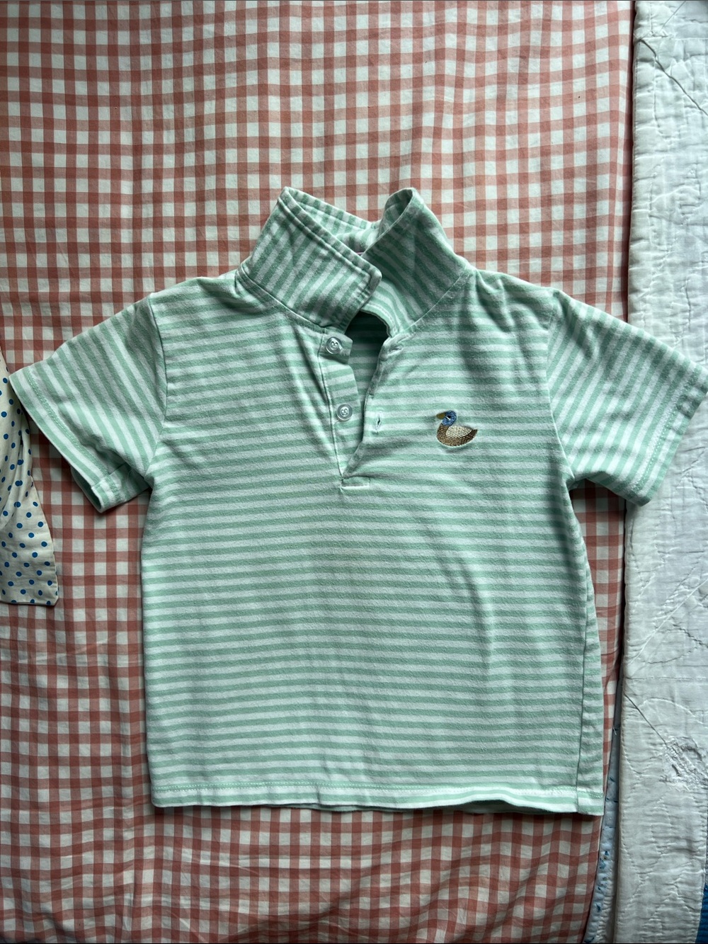 Banana Split Striped Light Green Polo Shirt with Duck
